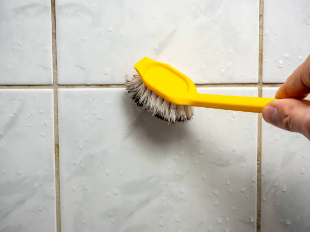 Best Mold Cleaning Services  in Meridian Hills, IN