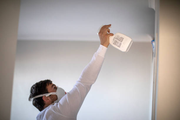 Best Home Mold Removal  in Meridian Hills, IN