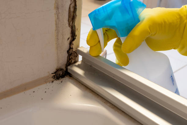Best Mold Testing  in Meridian Hills, IN